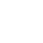 Cash Wise_Social Icons_100 x 100_X White